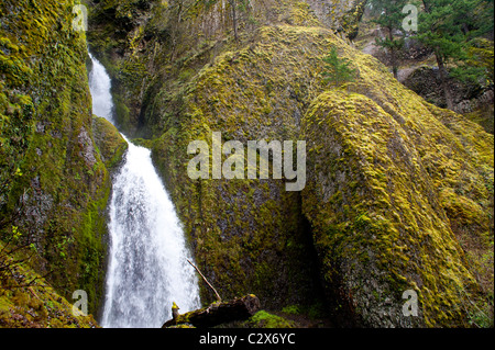 Wasserfall zwischen bemoosten Felsen im pazifischen Nordwesten Stockfoto