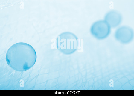 blaue abstrakte Kugeln auf Netzwerk. Makro Stockfoto