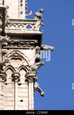 Berühmten Wasserspeier von Notre-Dame de Paris auf blauen Himmelshintergrund Stockfoto
