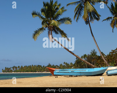 Ein blaues Fischerboot unter Palmen am Strand in Las Terrenas, Dominikanische Republik. Stockfoto