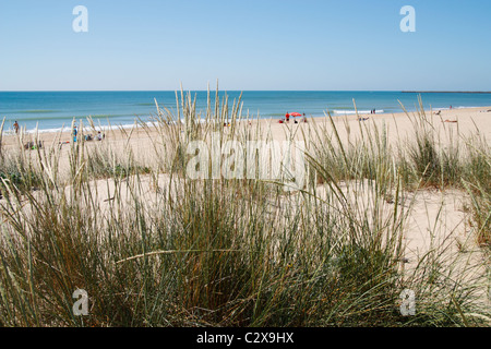 Dünen und Strand von Isla Cristina, Huelva, Andalusien, Spanien Stockfoto