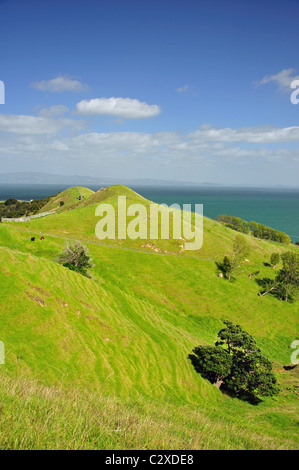 Küsten Blick vom Whangapoua Road, Coromandel Peninsula, Region Waikato, Nordinsel, Neuseeland Stockfoto