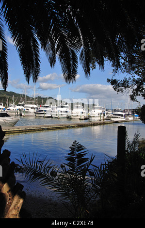 Bootshafen, Whitianga Harbour, Whitianga, Mercury Bay, Coromandel Halbinsel, Region Waikato, Nordinsel, Neuseeland Stockfoto