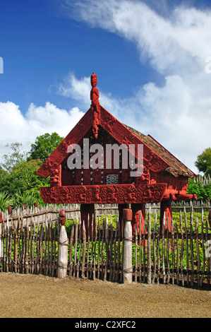 Geschnitzte Maori Lagerhaus, Te Parapara Maori Garten, Hamilton Gardens, Hamilton, Waikato Region, Nordinsel, Neuseeland Stockfoto