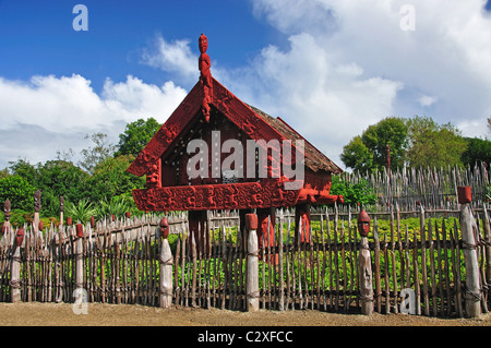 Geschnitzte Maori Lagerhaus, Te Parapara Maori Garten, Hamilton Gardens, Hamilton, Waikato Region, Nordinsel, Neuseeland Stockfoto