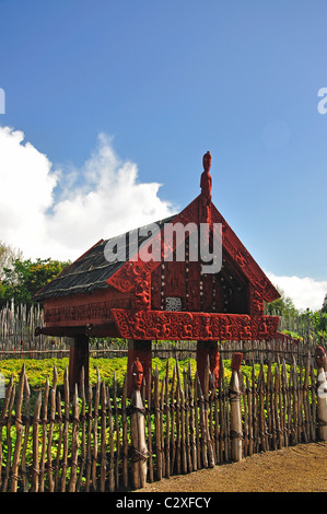 Geschnitzte Maori Lagerhaus, Te Parapara Maori Garten, Hamilton Gardens, Hamilton, Waikato Region, Nordinsel, Neuseeland Stockfoto