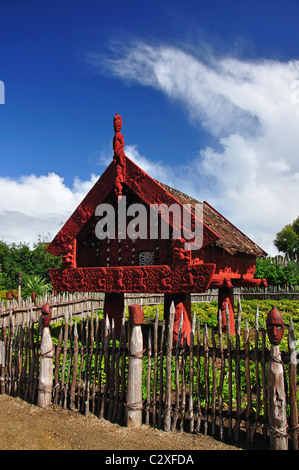 Geschnitzte Maori Lagerhaus, Te Parapara Maori Garten, Hamilton Gardens, Hamilton, Waikato Region, Nordinsel, Neuseeland Stockfoto