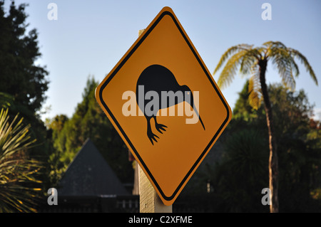 Straßenschild Kiwi, in der Nähe von Rotorua, Bucht von viel Region, Nordinsel, Neuseeland Stockfoto