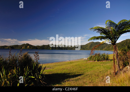 Lake Rotoma vom State Highway 30, Rotorua District, Region Bay of Plenty, Nordinsel, Neuseeland Stockfoto