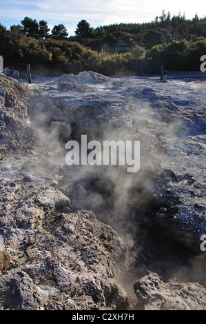 Dämpfen Schlammpfützen, Hell's Gate und WaiOra Spa, Rotorua, Bucht von viel Region, Nordinsel, Neuseeland Stockfoto