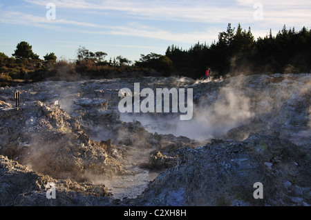 Dämpfen Schlammpfützen, Hell's Gate und WaiOra Spa, Rotorua, Bucht von viel Region, Nordinsel, Neuseeland Stockfoto