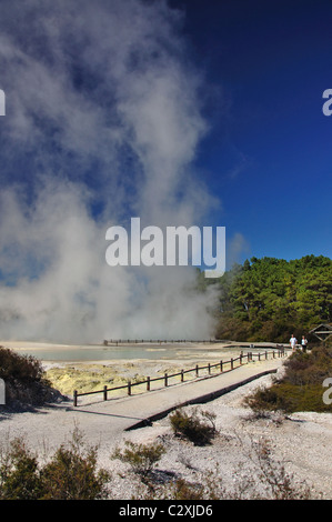 Holzsteg über Terrasse, Wai-O-Tapu Thermal Wonderland, Rotorua, Bucht von viel Region, Nordinsel, Neuseeland Stockfoto