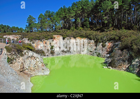 Der Teufel Bad, Wai-O-Tapu Thermal Wonderland, Rotorua, Region Bay of Plenty, Nordinsel, Neuseeland Stockfoto