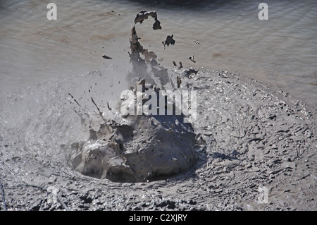 Heißen Schlammpfützen, Waiotapu, in der Nähe von Rotorua, Bucht von viel Region, Nordinsel, Neuseeland Stockfoto