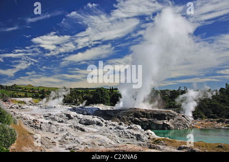 Ansicht von Pohutu Geysir von Lookout, Whakarewarewa lebenden Thermal Village, Rotorua, Bucht von viel Region, Neuseeland Stockfoto