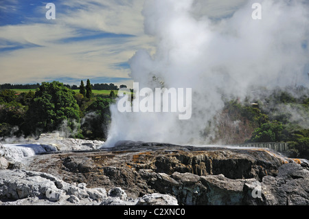 Ansicht von Pohutu Geysir von Lookout, Whakarewarewa lebenden Thermal Village, Rotorua, Bucht von viel Region, Neuseeland Stockfoto