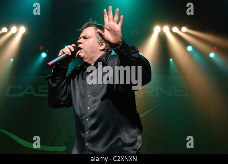 Hackbraten bei Konzert in der Heineken Music Hall im Rahmen des Casa Carne Tour 2008 Amsterdam, Holland - 04.08.08 Stockfoto