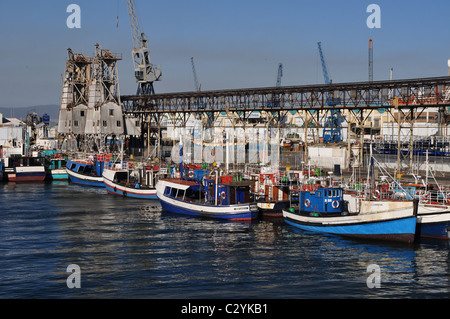 Hafen von Kapstadt, bunten Booten, Großkrane Stockfoto