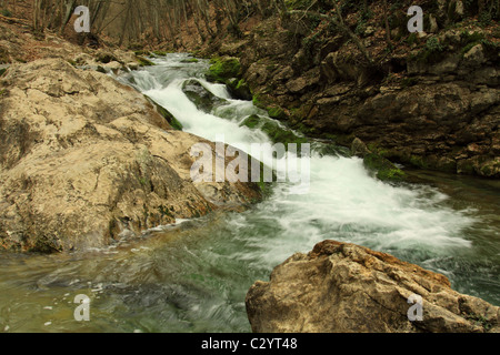 Bergbach im Wald Stockfoto