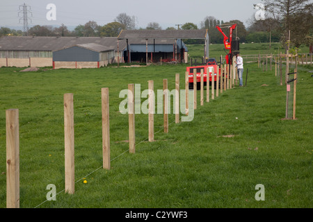 Arbeiter, die Einführung neuer Beitrag und Zaun im Bereich Cotswolds UK Stockfoto
