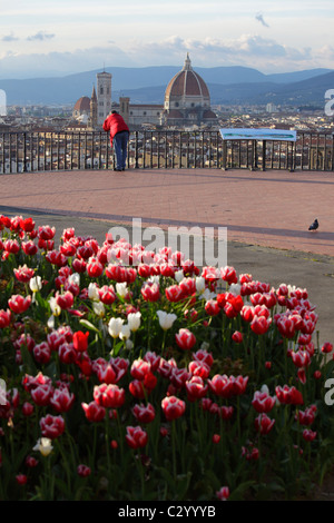 Florenz, gesehen vom Piazzale Michelangelo, Florenz, Italien Stockfoto