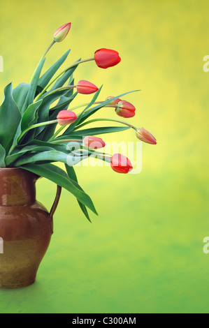 Rote Tulpen im alten Krug über farbigen Hintergrund Stockfoto