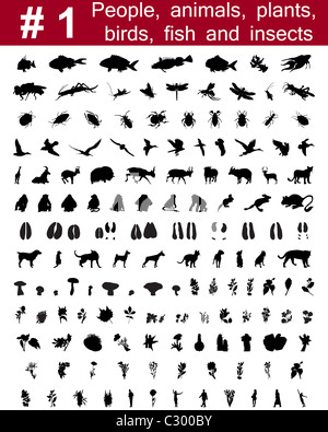 Große Sammlung von Collage Vector Silhouetten von Menschen, Tiere, Vögel, Fische, Blumen und Insekten Stockfoto