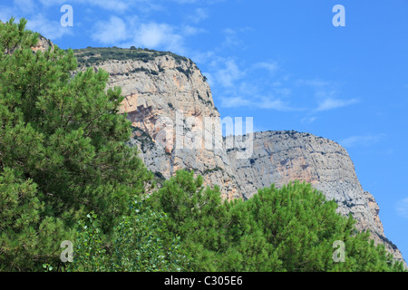 Hohe Felsen und Pinien als Hintergrund. Stockfoto