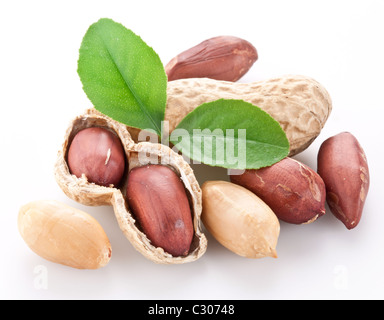 Peanuts. Isoliert auf weißem Hintergrund. Stockfoto