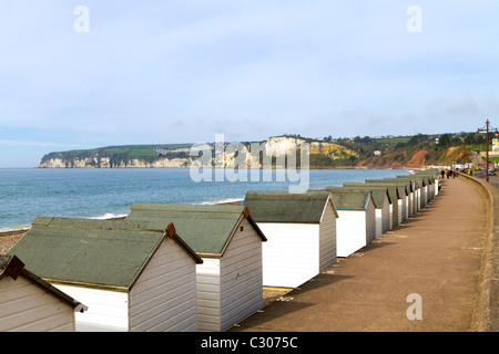 Strandhütten auf der Esplanade am Seaton, Devon Stockfoto