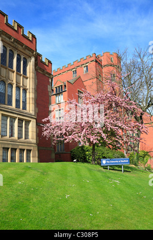 Blüte Baum durch die Rotunde, Firth Gericht, University of Sheffield, Sheffield, South Yorkshire, England, UK. Stockfoto