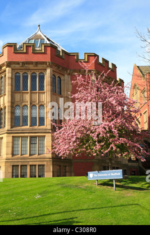 Blüte Baum durch die Rotunde, Firth Gericht, University of Sheffield, Sheffield, South Yorkshire, England, UK. Stockfoto