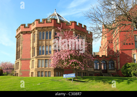 Blüte Baum durch die Rotunde, Firth Gericht, University of Sheffield, Sheffield, South Yorkshire, England, UK. Stockfoto