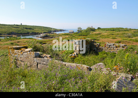 Alte Fundamente aus früheren Jahrhunderten auf Damariscove Insel Stockfoto