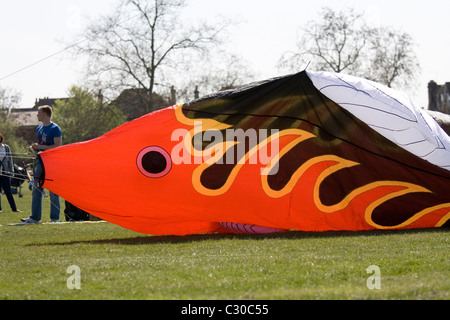 Ein großer roter Fisch geformt Kite an die Familie Kite-Tag im Park Streatham im Süden von London. Stockfoto