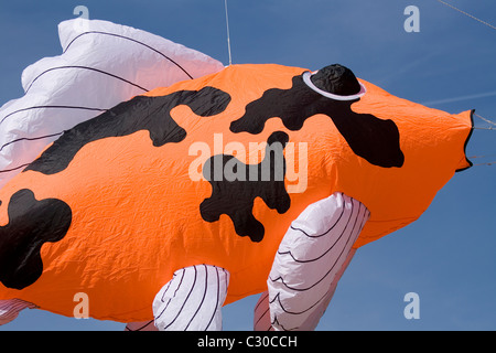 Eine große orange Fisch geformt Kite an die Familie Kite-Tag in Streatham Park in Süd-London. Stockfoto