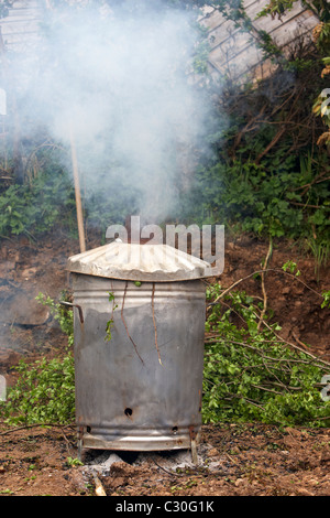 Home Garten Verbrennungsanlage brennen grüner Baum und Busch Abfall während der Gartenarbeit im Vereinigten Königreich Stockfoto