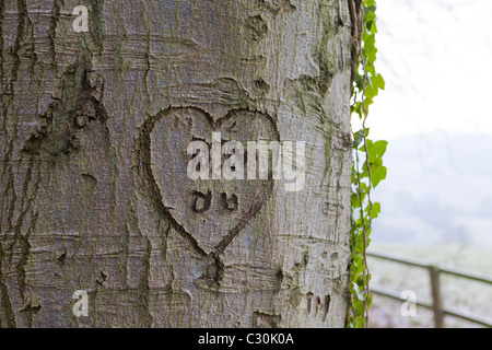 Ein Herz mit Liebhaber Initialen in die Rinde des Stammes von einem Baum geschnitzt Stockfoto