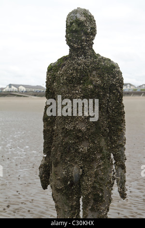 Antony Gormley ist ein weiterer Ort, Crosby, UK Stockfoto