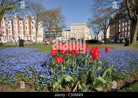 Palmeria Square in Brighton und Hove im Frühling mit roten Tulpen und kleine blaue Blumen Vergissmeinnicht, East Sussex, England Stockfoto