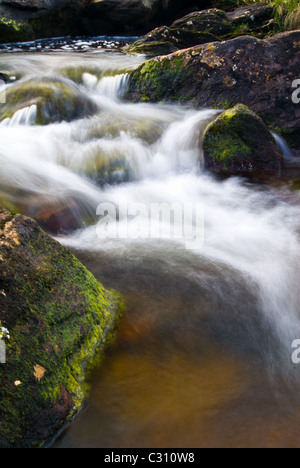 Ein kleiner Bach, der wandte sich an einen kleinen Wasserfall Autobahnabfahrt A83 nahe den Rest und dankbar sein. Stockfoto