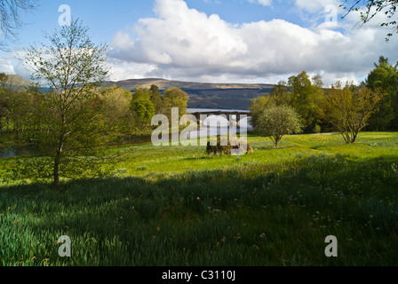 Eine Ansicht der Straßenbrücke in, Inveraray Inveraray Castle Grounds entnommen. Stockfoto