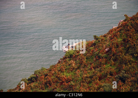 Zwei wilde Ziegen ruht auf einem Felsvorsprung über den Bristolkanal Tal der Felsen, in der Nähe von Devon England UK Stockfoto