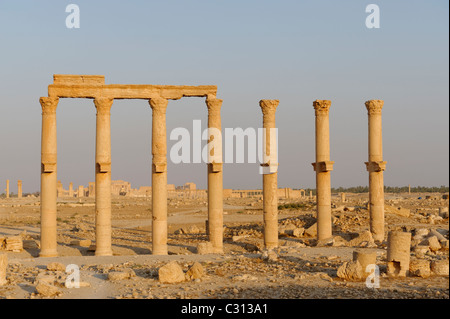 Palmyra. Syrien. Blick auf einen Säulen, die eine sekundäre Säulenstraße säumen, die ovale Piazza und Damaskus-Tor geführt Stockfoto