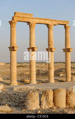 Palmyra. Syrien. Blick auf einen Säulen, die eine sekundäre Säulenstraße säumen, die ovale Piazza und Damaskus-Tor geführt. Stockfoto