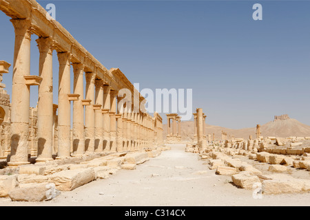 Mittelteil der große Kolonnade-Straße, die die Fläche von Monumental arch, das Tetrapylon an Palmyra Syrien. Stockfoto
