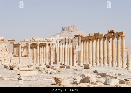 Palmyra. Syrien. Der große Kolonnade Straße mit der Kuppe 17. Jahrhundert Arabische Burg von Qala bei ibn Maan in der Ferne. Stockfoto