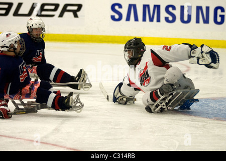 Bilder aus der Bronze-Medaille Spiel an der 2011 International Sledge Hockey Challenge. Stockfoto