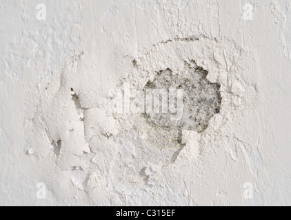 Schimmel und abblätternde Farbe an einer Innenwand, verursacht durch Feuchtigkeit und Nässe Stockfoto