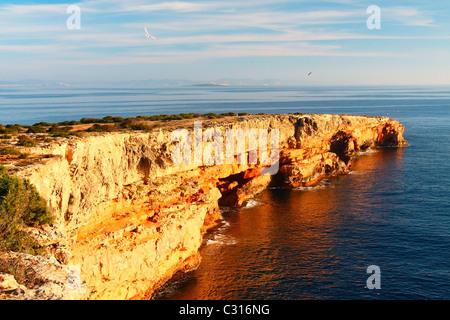 Punta Prima in die Insel Formentera (Balearen, Spanien). Stockfoto